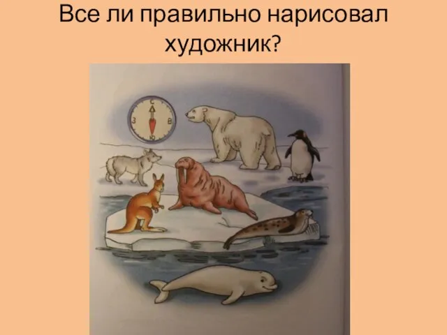 Все ли правильно нарисовал художник?