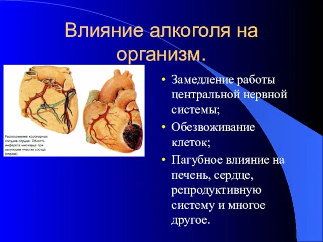 Влияние алкоголя на организм. Замедление работы центральной нервной системы; Обезвоживание клеток;