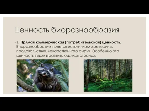 Ценность биоразнообразия 1. Прямая коммерческая (потребительская) ценность. Биоразнообразие является источником древесины,