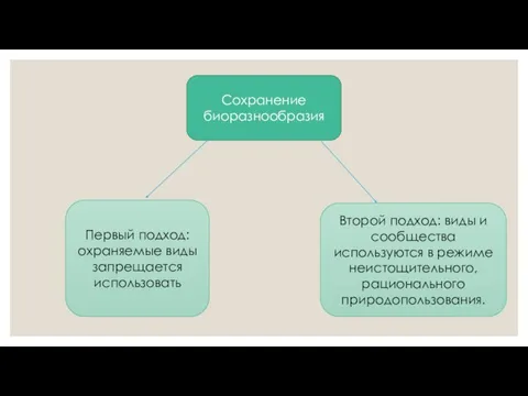 Сохранение биоразнообразия Первый подход: охраняемые виды запрещается использовать Второй подход: виды