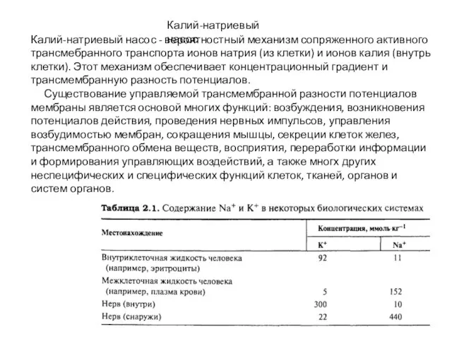 Калий-натриевый насос Калий-натриевый насос - вероятностный механизм сопряженного активного трансмебранного транспорта