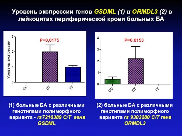 Уровень экспрессии генов GSDML (1) и ORMDL3 (2) в лейкоцитах периферической