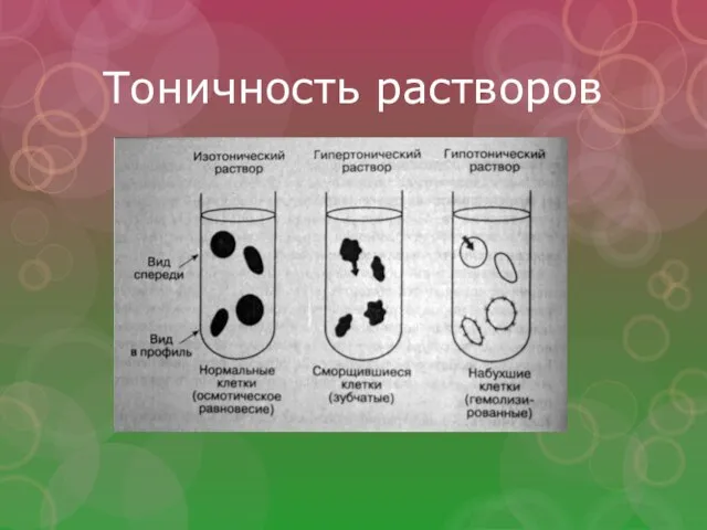 Тоничность растворов