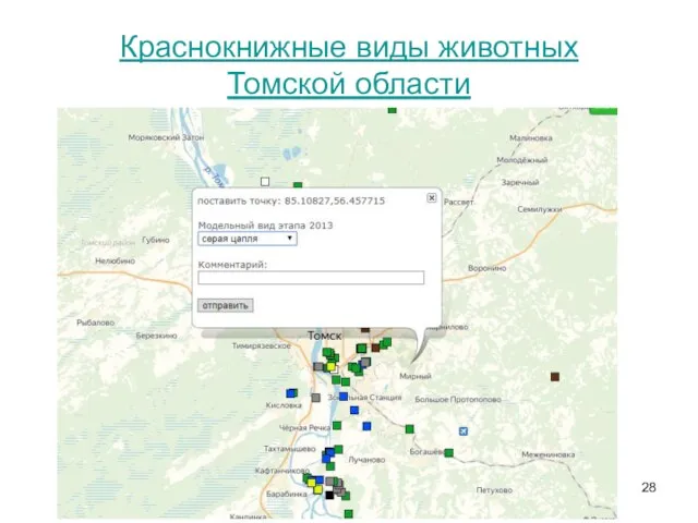 Краснокнижные виды животных Томской области