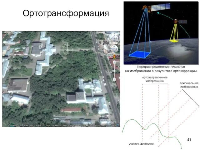 Ортотрансформация