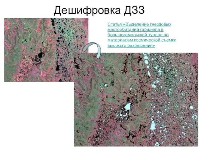 Дешифровка ДЗЗ Статья «Выделение гнездовых местообитаний гаршнепа в большеземельской тундре по материалам космической съемки высокого разрешения»