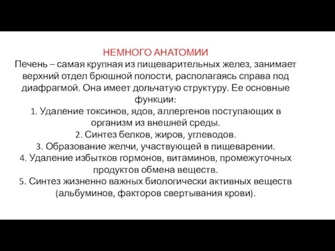 НЕМНОГО АНАТОМИИ Печень – самая крупная из пищеварительных желез, занимает верхний