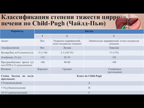 Классификация степени тяжести цирроза печени по Child-Pugh (Чайлд-Пью)