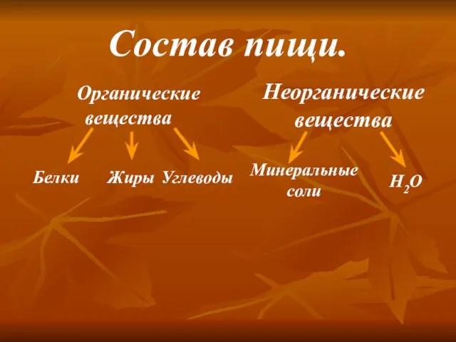 Состав пищи. Органические вещества Неорганические вещества Белки Жиры Углеводы Минеральные соли Н2О