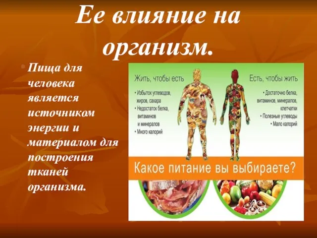 Ее влияние на организм. Пища для человека является источником энергии и материалом для построения тканей организма.