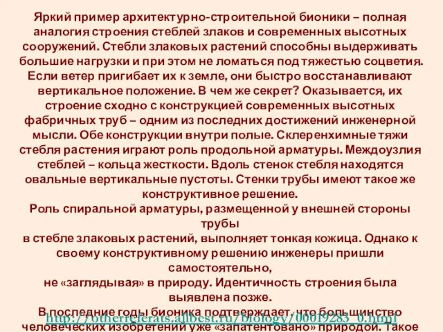 Яркий пример архитектурно-строительной бионики – полная аналогия строения стеблей злаков и