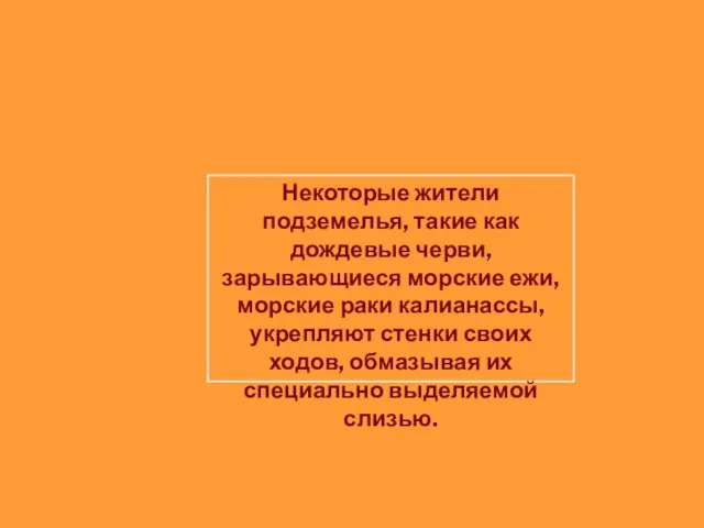 Некоторые жители подземелья, такие как дождевые черви, зарывающиеся морские ежи, морские