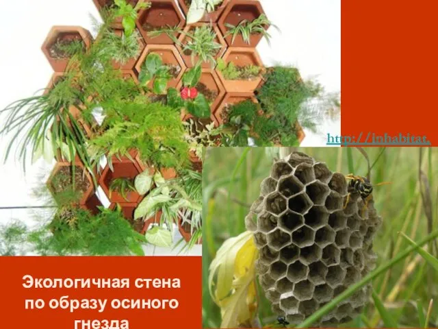 http://inhabitat.com/products-2/ Экологичная стена по образу осиного гнезда