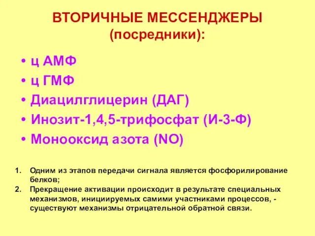 ВТОРИЧНЫЕ МЕССЕНДЖЕРЫ (посредники): ц АМФ ц ГМФ Диацилглицерин (ДАГ) Инозит-1,4,5-трифосфат (И-3-Ф)