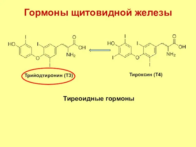 Гормоны щитовидной железы Тиреоидные гормоны Тироксин (T4) Трийодтиронин (T3)