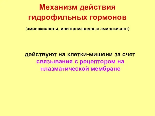 Механизм действия гидрофильных гормонов (аминокислоты, или производные аминокислот) действуют на клетки-мишени