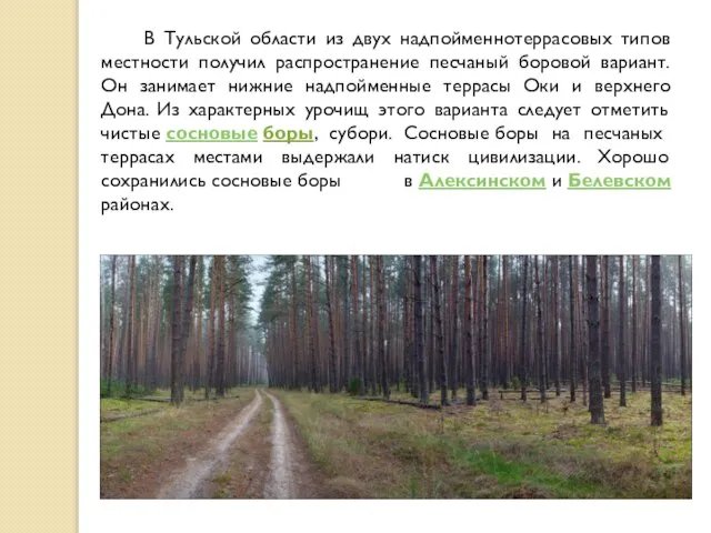 В Тульской области из двух надпойменнотеррасовых типов местности получил распространение песчаный