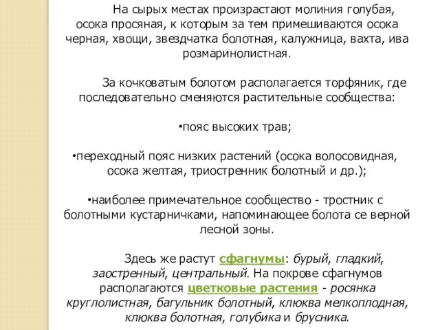 На сырых местах произрастают молиния голубая, осока просяная, к которым за