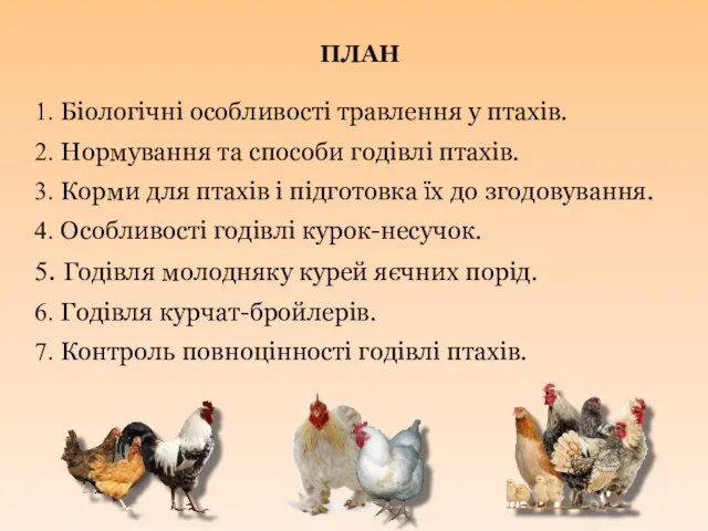 ПЛАН 1. Біологічні особливості травлення у птахів. 2. Нормування та способи
