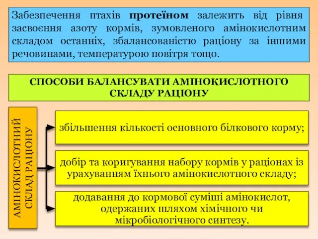 СПОСОБИ БАЛАНСУВАТИ АМІНОКИСЛОТНОГО СКЛАДУ РАЦІОНУ Забезпечення птахів протеїном залежить від рівня