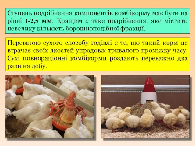 Ступень подрібнення компонентів комбікорму має бути на рівні 1-2,5 мм. Кращим
