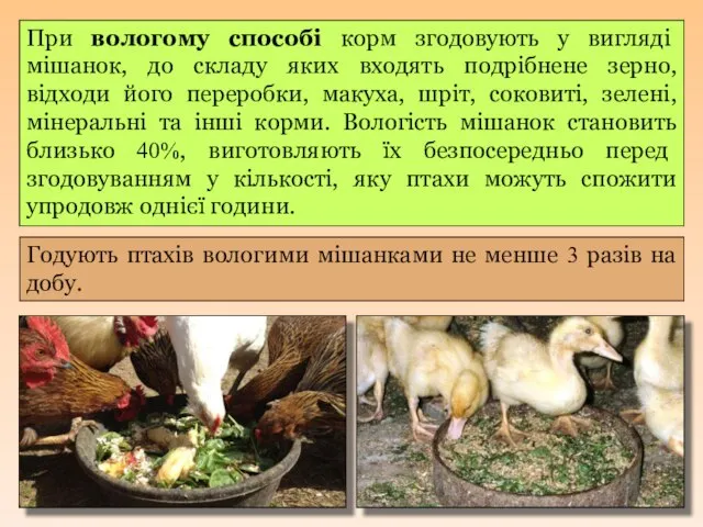 При вологому способі корм згодовують у вигляді мішанок, до складу яких