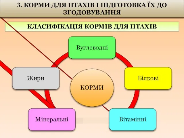 КЛАСИФІКАЦІЯ КОРМІВ ДЛЯ ПТАХІВ 3. КОРМИ ДЛЯ ПТАХІВ І ПІДГОТОВКА ЇХ ДО ЗГОДОВУВАННЯ