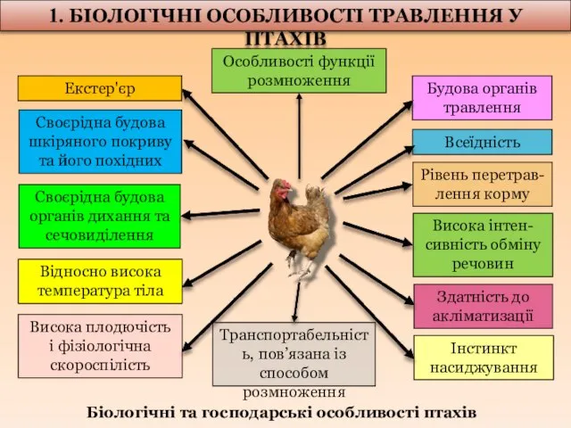 1. БІОЛОГІЧНІ ОСОБЛИВОСТІ ТРАВЛЕННЯ У ПТАХІВ Екстер'єр Будова органів травлення Рівень