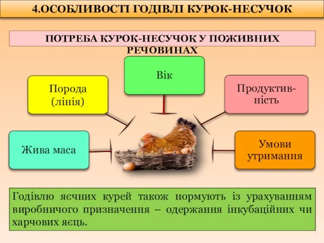 4.ОСОБЛИВОСТІ ГОДІВЛІ КУРОК-НЕСУЧОК ПОТРЕБА КУРОК-НЕСУЧОК У ПОЖИВНИХ РЕЧОВИНАХ Годівлю яєчних курей