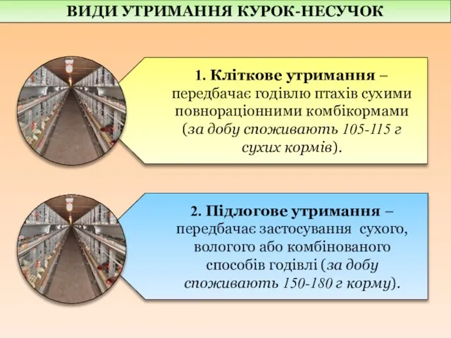 ВИДИ УТРИМАННЯ КУРОК-НЕСУЧОК