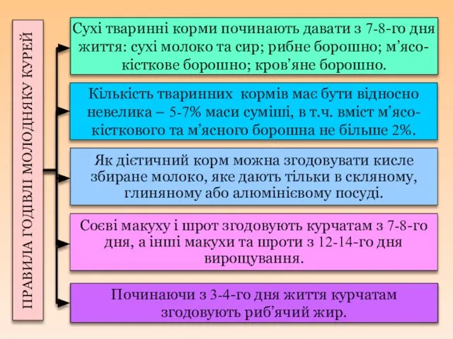 Як дієтичний корм можна згодовувати кисле збиране молоко, яке дають тільки