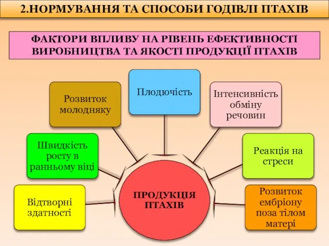 2.НОРМУВАННЯ ТА СПОСОБИ ГОДІВЛІ ПТАХІВ ФАКТОРИ ВПЛИВУ НА РІВЕНЬ ЕФЕКТИВНОСТІ ВИРОБНИЦТВА ТА ЯКОСТІ ПРОДУКЦІЇ ПТАХІВ