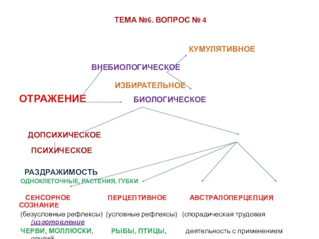 КУМУЛЯТИВНОЕ ВНЕБИОЛОГИЧЕСКОЕ ИЗБИРАТЕЛЬНОЕ ОТРАЖЕНИЕ БИОЛОГИЧЕСКОЕ ДОПСИХИЧЕСКОЕ ПСИХИЧЕСКОЕ РАЗДРАЖИМОСТЬ ОДНОКЛЕТОЧНЫЕ, РАСТЕНИЯ, ГУБКИ