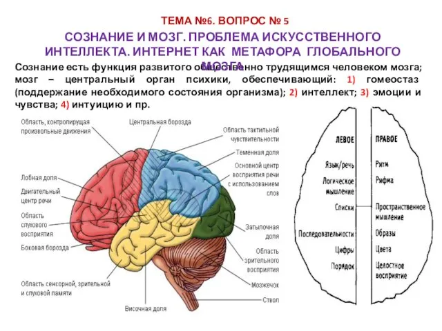 ТЕМА №6. ВОПРОС № 5 Сознание есть функция развитого общественно трудящимся