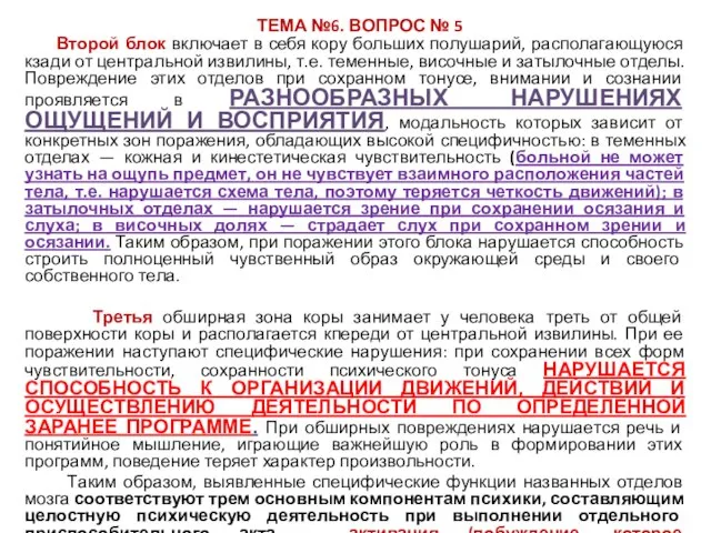 Второй блок включает в себя кору больших полушарий, располагающуюся кзади от