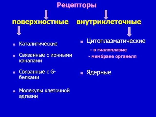 Рецепторы поверхностные внутриклеточные Каталитические Связанные с ионными каналами Связанные с G-белками