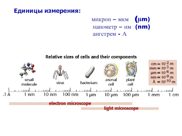 Единицы измерения: микрон – мкм (μm) нанометр – нм (nm) ангстрем - А