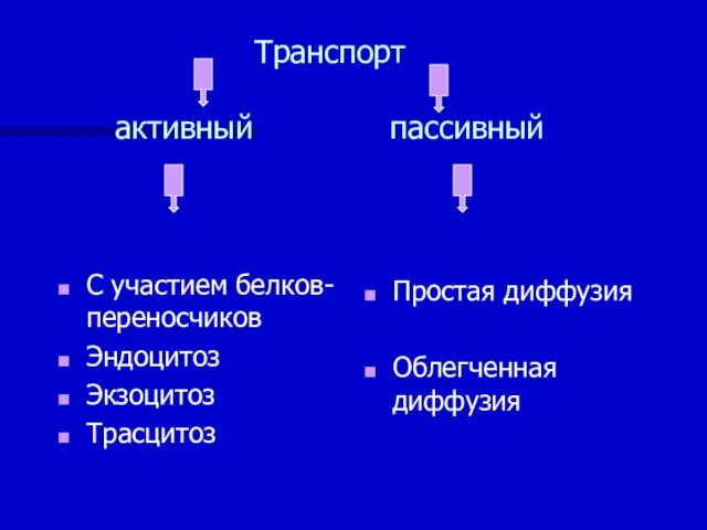 Транспорт активный пассивный С участием белков-переносчиков Эндоцитоз Экзоцитоз Трасцитоз Простая диффузия Облегченная диффузия