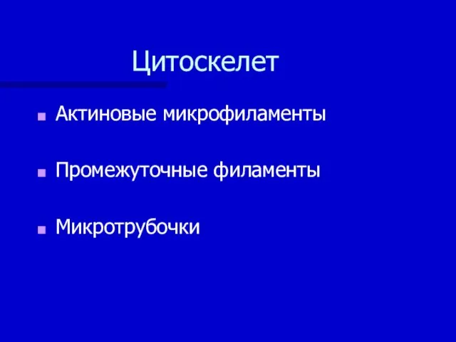 Цитоскелет Актиновые микрофиламенты Промежуточные филаменты Микротрубочки