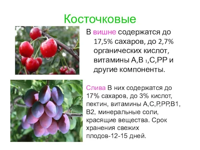 Косточковые В вишне содержатся до 17,5% сахаров, до 2,7% органических кислот,