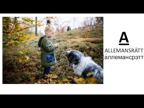 A ALLEMANSRÄTT [а́ллемансрэтт]