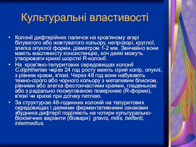 Культуральні властивості Колонії дифтерійних паличок на кров'яному агарі білуватого або жовтуватого