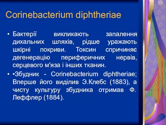 Corinebacterium diphtheriae Бактерії викликають запалення дихальних шляхів, рідше уражають шкірні покриви.