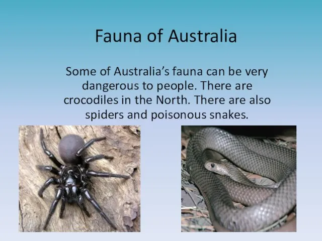 Fauna of Australia Some of Australia’s fauna can be very dangerous