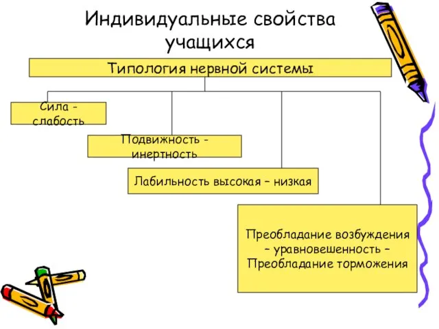 Индивидуальные свойства учащихся Типология нервной системы Сила - слабость Подвижность -