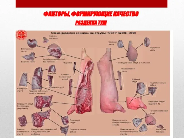 ФАКТОРЫ, ФОРМИРУЮЩИЕ КАЧЕСТВО РАЗДЕЛКА ТУШ