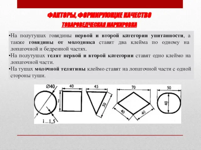 На полутушах говядины первой и второй категории упитанности, а также говядины