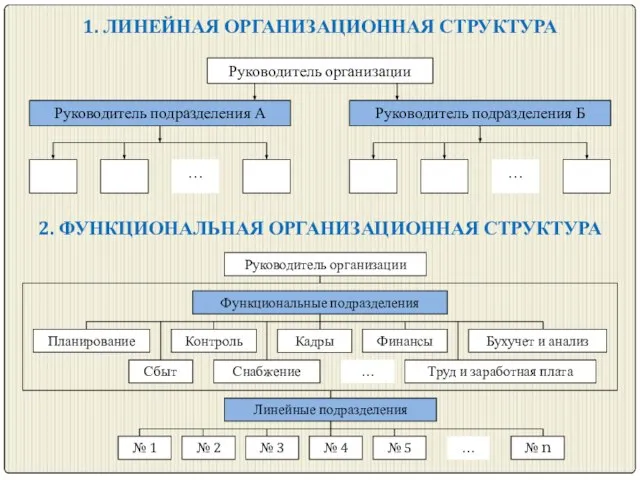 1. ЛИНЕЙНАЯ ОРГАНИЗАЦИОННАЯ СТРУКТУРА 2. ФУНКЦИОНАЛЬНАЯ ОРГАНИЗАЦИОННАЯ СТРУКТУРА