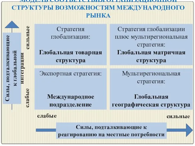 МОДЕЛЬ СООТВЕТСТВИЯ ОРГАНИЗАЦИОННОЙ СТРУКТУРЫ ВОЗМОЖНОСТЯМ МЕЖДУНАРОДНОГО РЫНКА Стратегия глобализации: Глобальная товарная