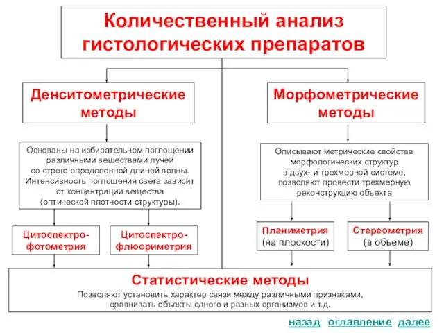 Количественный анализ гистологических препаратов оглавление Морфометрические методы Денситометрические методы Основаны на